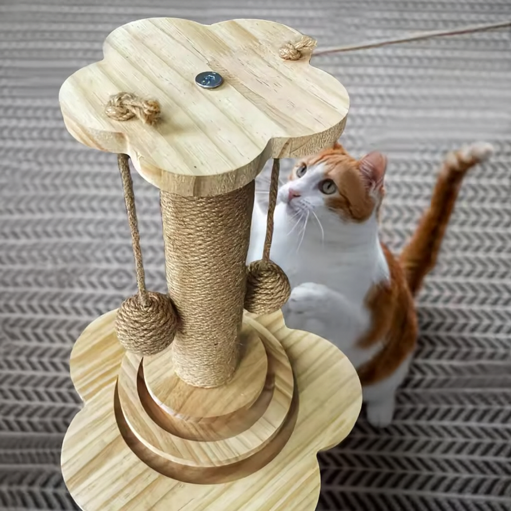 EcoPaw Scratcher